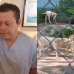 México: despiden jefe de zoo por vender y cocinar animales