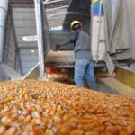 PACIC 2.0: México ‘redobla’ esfuerzos por contener precios de alimentos