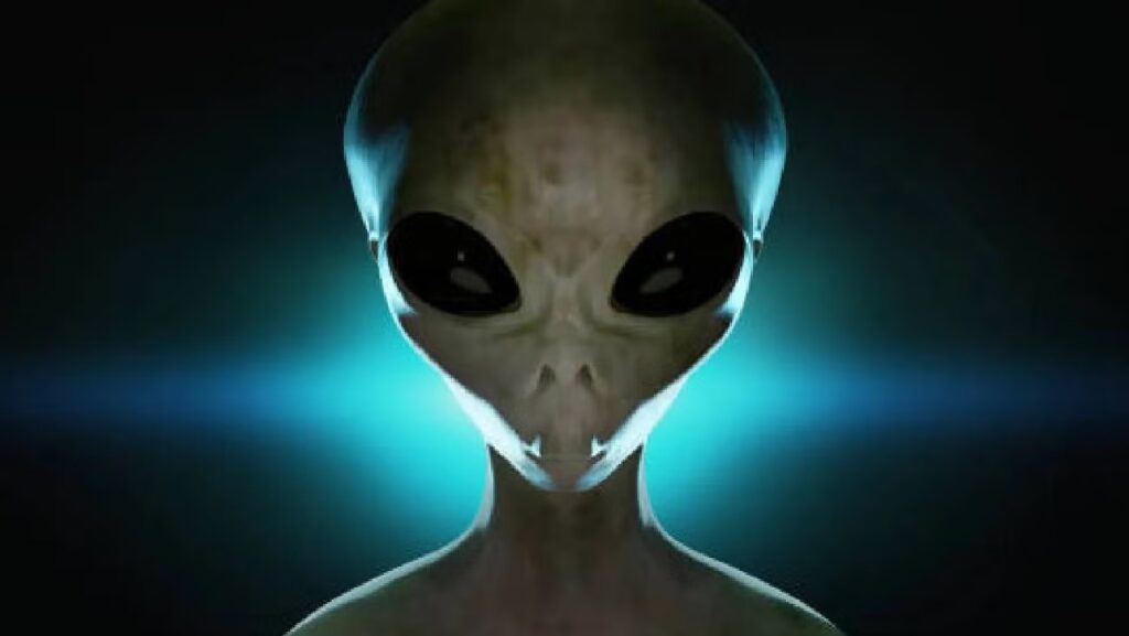 WhatsApp Image 2025-10-07 at 12.45.36