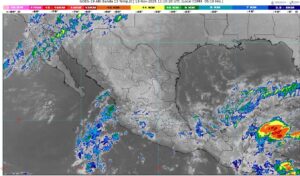 Imagen de WhatsApp 2025-11-13 a las 07.41.41_d9abff94