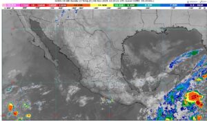 WhatsApp Image 2025-11-04 at 07.49.13