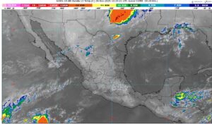 WhatsApp Image 2025-11-24 at 07.13.31