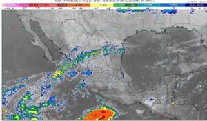 WhatsApp Image 2025-12-10 at 07.20.26