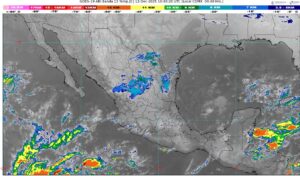 WhatsApp Image 2025-12-12 at 08.11.26