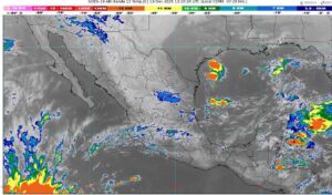 WhatsApp Image 2025-12-13 at 09.53.35