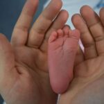 Francia registra más decesos que nacimientos por primera vez desde la Segunda Guerra Mundial