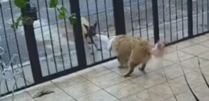 WhatsApp Image 2025-12-20 at 21.30.35