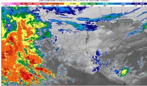 WhatsApp Image 2025-12-30 at 08.20.26