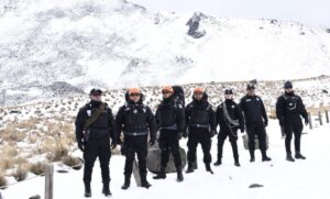 WhatsApp Image 2025-12-30 at 11.50.09