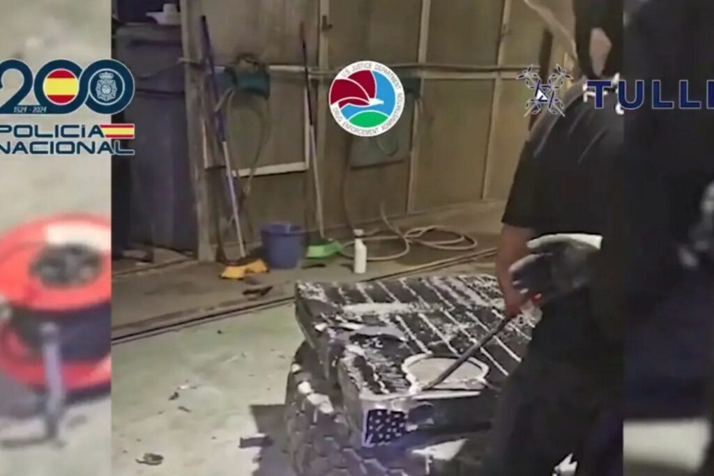 WhatsApp Image 2026-01-07 at 08.57.59