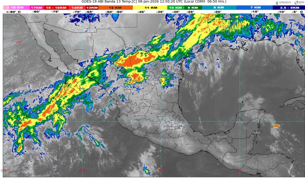 WhatsApp Image 2026-01-08 at 08.17.10