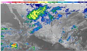 WhatsApp Image 2026-01-12 at 07.40.07