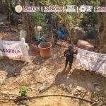 Desmantelan laboratorios clandestinos en Durango, Sinaloa y Michoacán