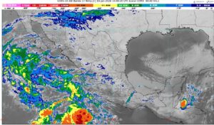 WhatsApp Image 2026-01-19 at 07.51.59