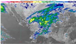 WhatsApp Image 2026-01-21 at 07.51.34