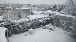 WhatsApp Image 2026-01-24 at 14.35.15