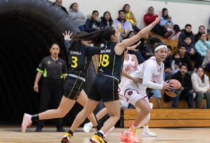 WhatsApp Image 2026-01-27 at 15.06.04