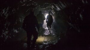 WhatsApp Image 2026-01-29 at 09.30.19