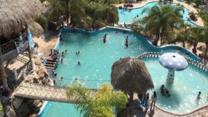 WhatsApp Image 2026-01-31 at 14.29.38