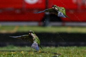 WhatsApp Image 2026-02-12 at 09.10.05