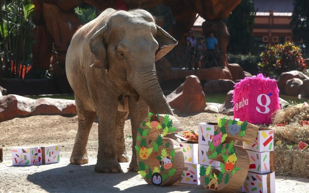 WhatsApp Image 2026-02-15 at 12.17.10