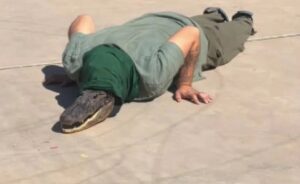 WhatsApp Image 2026-02-17 at 07.33.31 (1)