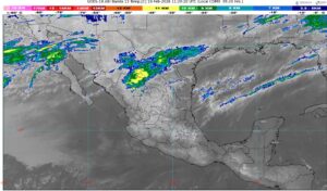 WhatsApp Image 2026-02-19 at 08.02.20