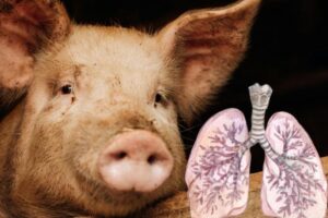 WhatsApp Image 2026-02-27 at 10.13.30