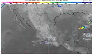 WhatsApp Image 2026-02-28 at 08.28.40