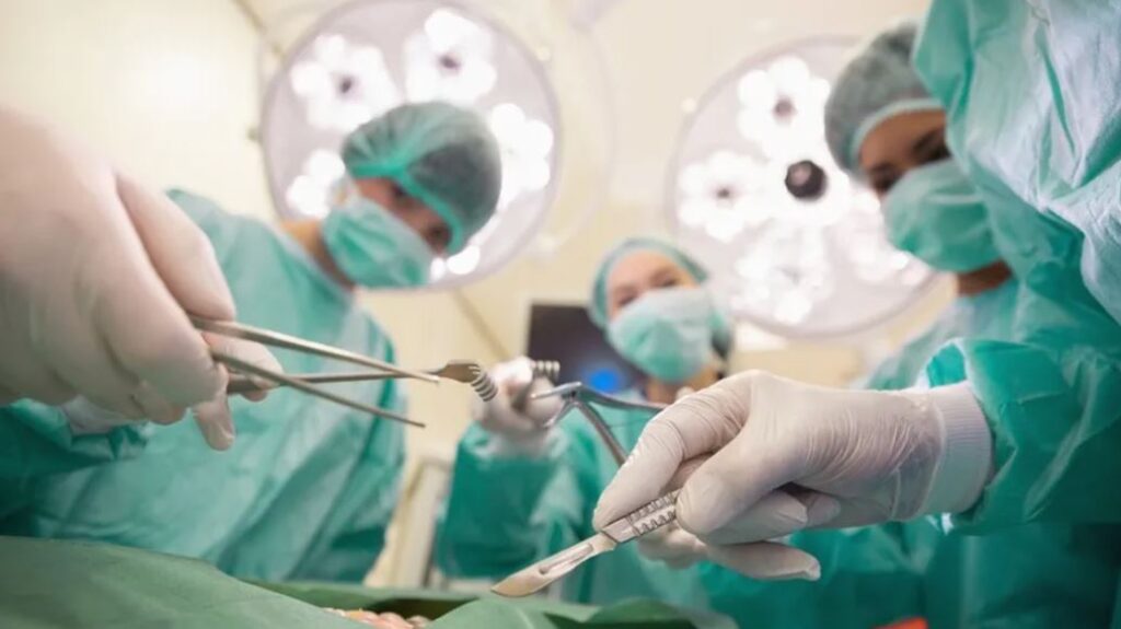 WhatsApp Image 2026-03-03 at 11.59.23