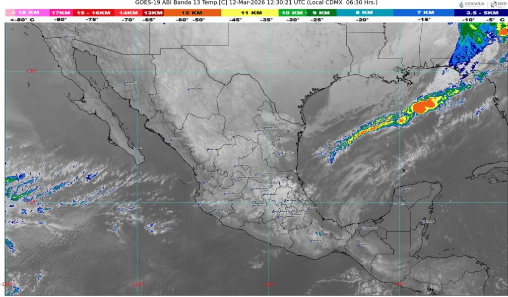 WhatsApp Image 2026-03-12 at 09.36.49