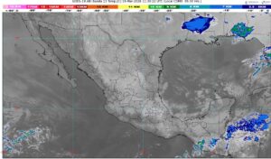 WhatsApp Image 2026-03-19 at 08.37.36