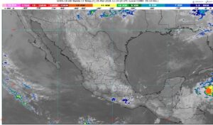 WhatsApp Image 2026-03-25 at 07.56.03