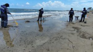 WhatsApp Image 2026-04-04 at 14.07.42