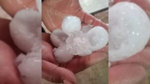 WhatsApp Image 2026-04-04 at 14.49.07