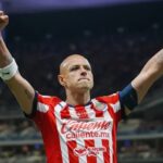 Borrador automático