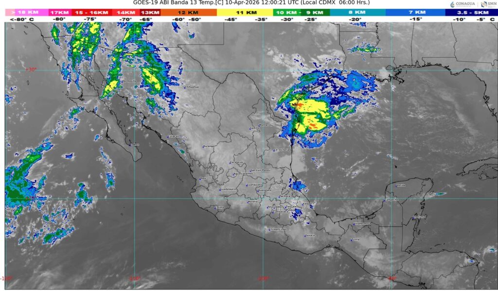 WhatsApp Image 2026-04-10 at 08.19.39