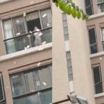 Mujer en crisis lanza más de 2.7 millones de pesos desde su casa