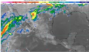 WhatsApp Image 2026-04-28 at 08.04.11